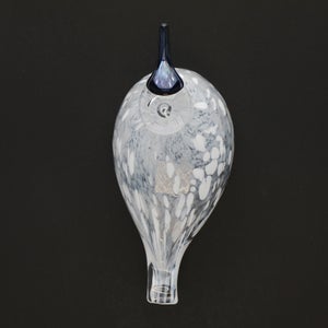 Birds Snow Finch 0012