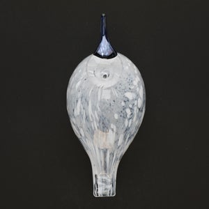 Birds Snow Finch 0013