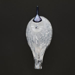 Birds Snow Finch 0014