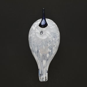 Birds Snow Finch 0015