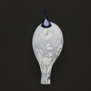 Birds Snow Finch 0016