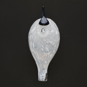 Birds Snow Finch 0018