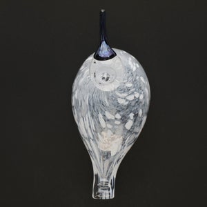 Birds Snow Finch 0019