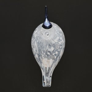 Birds Snow Finch 0021