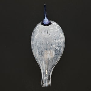 Birds Snow Finch 0022