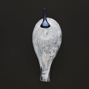 Birds Snow Finch 0023