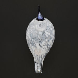 Birds Snow Finch 0024