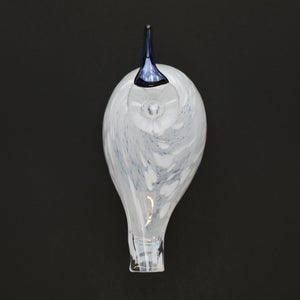 Birds Snow Finch 0025