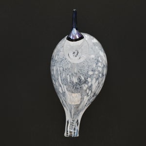 Birds Snow Finch 0026