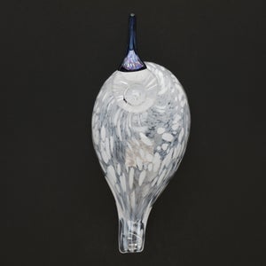 Birds Snow Finch 0027