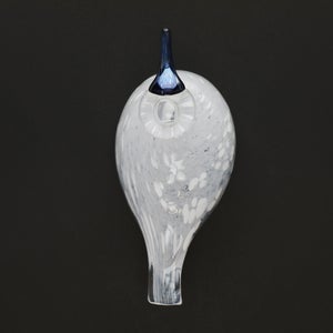 Birds Snow Finch 0028