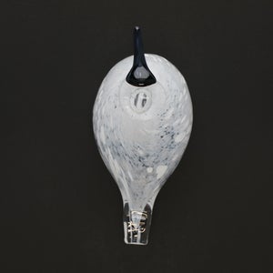 Birds Snow Finch 0030