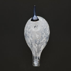 Birds Snow Finch 0031