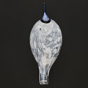 Birds Snow Finch 0033