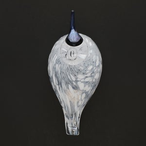 Birds Snow Finch 0035