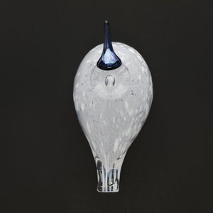 Birds Snow Finch 0039