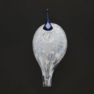 Birds Snow Finch 0040