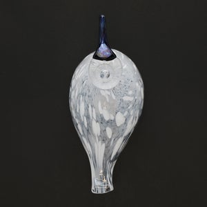 Birds Snow Finch 0041