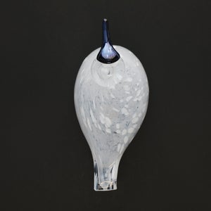 Birds Snow Finch 0042