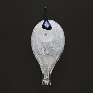 Birds Snow Finch 0044