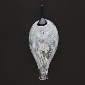 Birds Snow Finch 0045