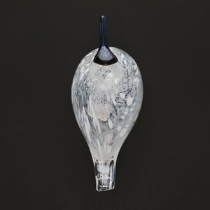 Birds Snow Finch 0047