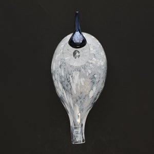 Birds Snow Finch 0051