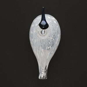 Birds Snow Finch 0052