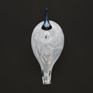 Birds Snow Finch 0053