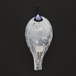 Birds Snow Finch 0055