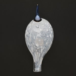 Birds Snow Finch 0056