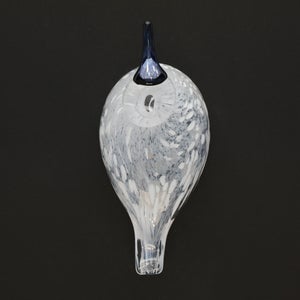 Birds Snow Finch 0057