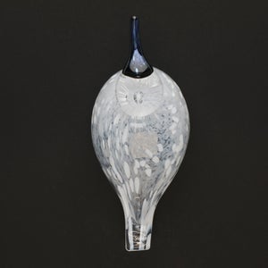 Birds Snow Finch 0058