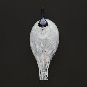 Birds Snow Finch 0059