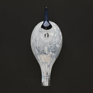 Birds Snow Finch 0060