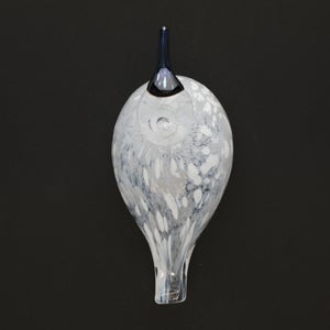 Birds Snow Finch 0061