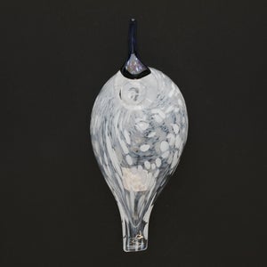 Birds Snow Finch 0062