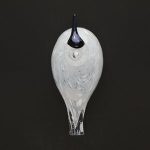 Birds Snow Finch 0064