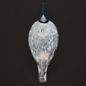 Birds Snow Finch 0065