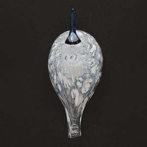 Birds Snow Finch 0066