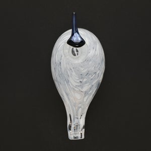 Birds Snow Finch 0067