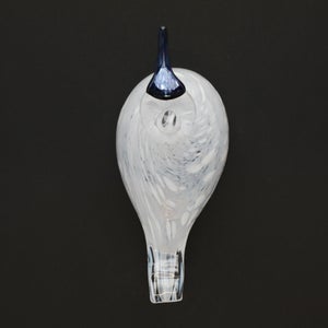 Birds Snow Finch 0069