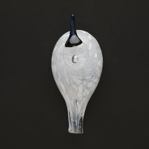 Birds Snow Finch 0070