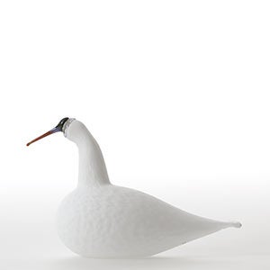 Birds Whooper Swan ホワイト 8063