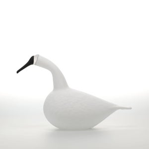 Birds Whooper Swan ホワイト 9331
