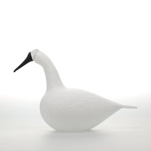 Birds Whooper Swan ホワイト 9332