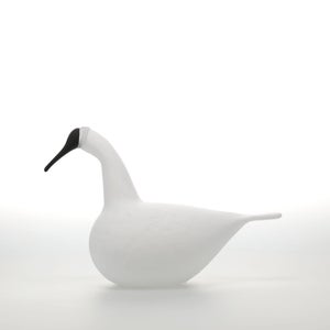 Birds Whooper Swan ホワイト 9335