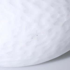 Birds Whooper Swan ホワイト 9321