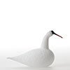 Birds Whooper Swan ホワイト 8063