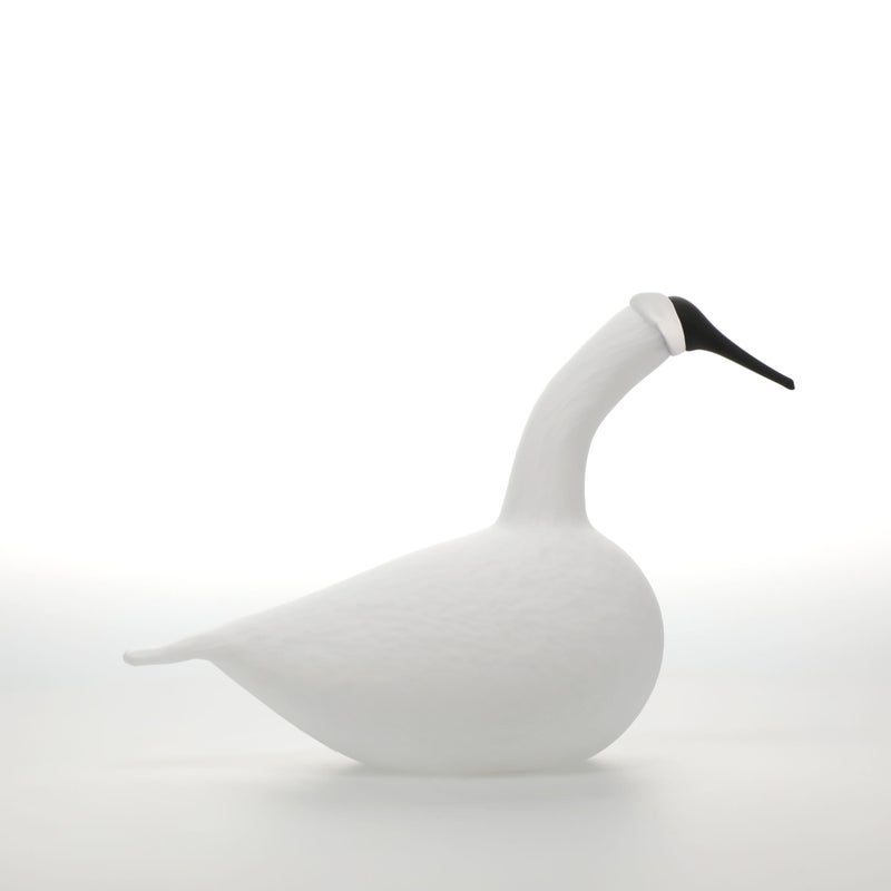 Birds by Toikka | Whooper Swan | iittala